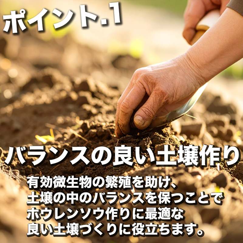 バランスの良い土壌作り